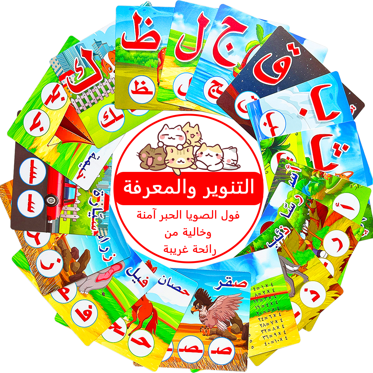 28Pcs Double Sided Arabic Alph - مراجعة Educational Flash Card وسعره