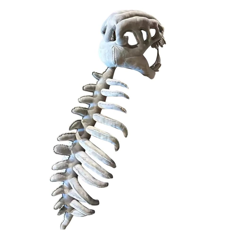 3D Dinosaur Skeleton Toys Funn - مراجعة Kids Toys Unique وسعره
